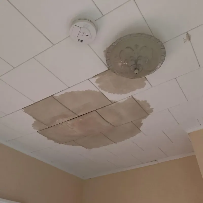 Ceiling Water Damage Repair in Cuba, NY